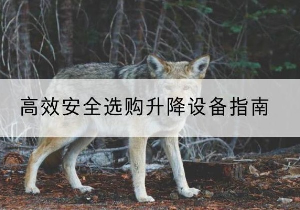 锦州升降货梯厂家推荐-*安全选购升降设备指南