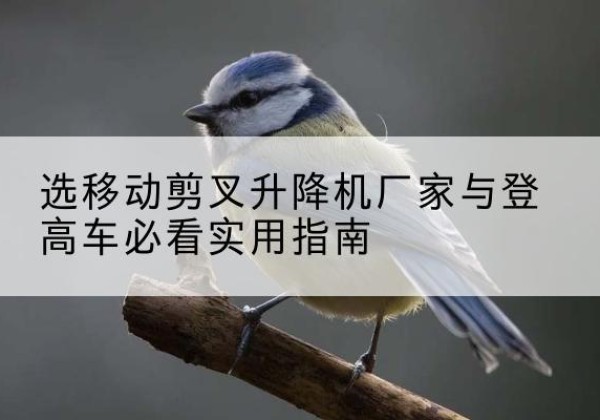 锦州电动升降机厂家-选移动剪叉升降机厂家与登高车必看实用指南