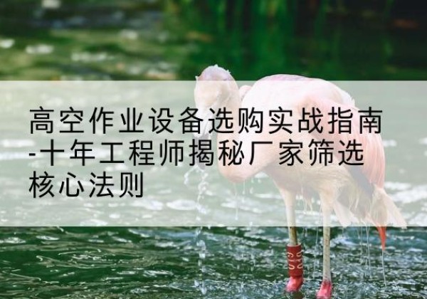 锦州剪叉式升降机厂家-高空作业设备选购实战指南-十年工程师揭秘厂家筛选核心法则